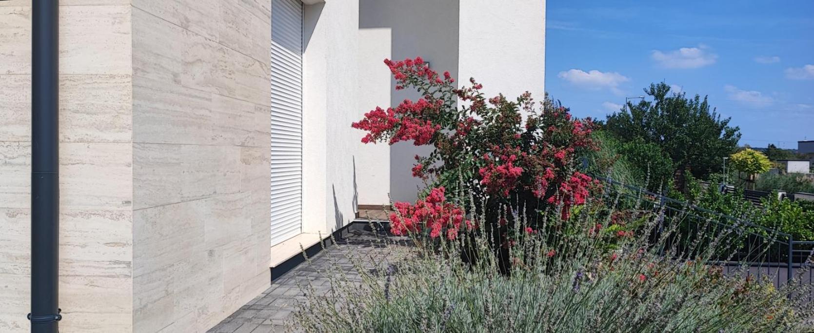 דירות דיוסד White Column House מראה חיצוני תמונה